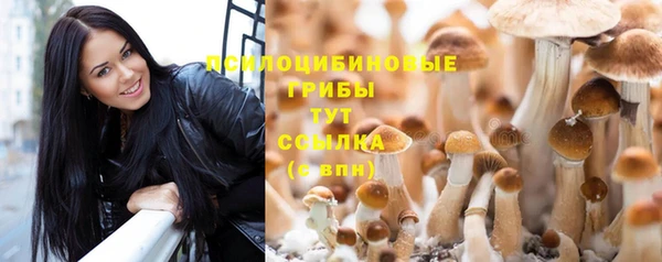 марки lsd Алзамай