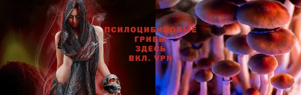 спайс Алексин