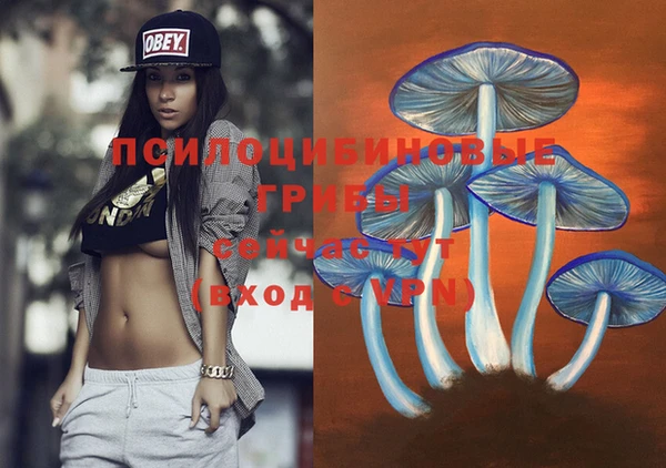 jwh Ступино
