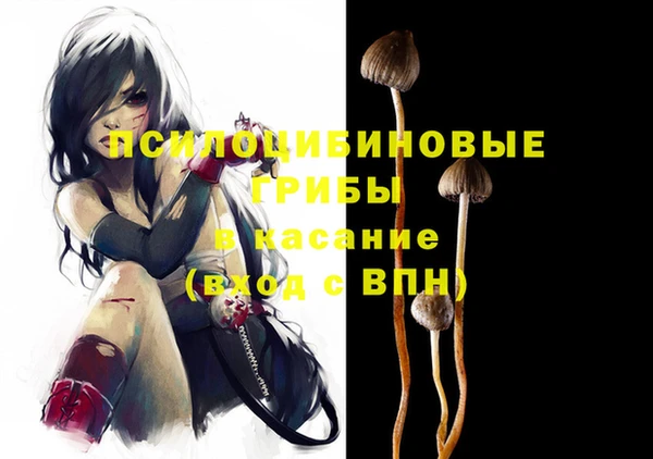 спайс Алексин